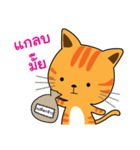 Shotti CAT（個別スタンプ：10）