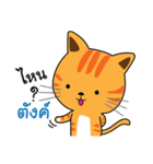 Shotti CAT（個別スタンプ：11）