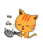 Shotti CAT（個別スタンプ：12）