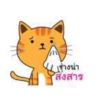 Shotti CAT（個別スタンプ：14）