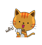 Shotti CAT（個別スタンプ：18）