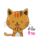 Shotti CAT（個別スタンプ：19）