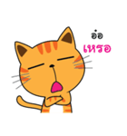 Shotti CAT（個別スタンプ：22）