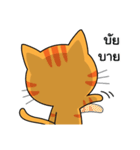 Shotti CAT（個別スタンプ：40）