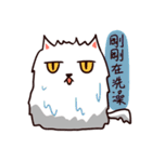 Just A Cat Have A Facial Palsy（個別スタンプ：5）