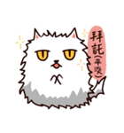 Just A Cat Have A Facial Palsy（個別スタンプ：12）