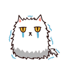 Just A Cat Have A Facial Palsy（個別スタンプ：14）