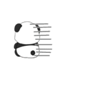 KoPandaChan2（個別スタンプ：19）