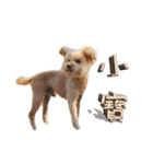 Taiwan Mix Dog - Ludan's Friends（個別スタンプ：10）