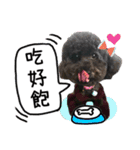 Dog LuLu's Daily（個別スタンプ：7）