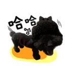 Dog LuLu's Daily（個別スタンプ：8）