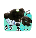 Dog LuLu's Daily（個別スタンプ：11）