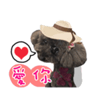 Dog LuLu's Daily（個別スタンプ：12）