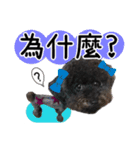 Dog LuLu's Daily（個別スタンプ：16）