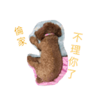 dog woo（個別スタンプ：13）