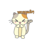 Cute cats playful（個別スタンプ：9）