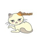 Cute cats playful（個別スタンプ：13）