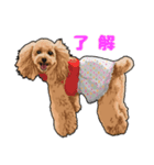 Dog Index スタンプ2（個別スタンプ：5）