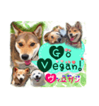 ヴィーガンの保護犬 日本語版 NGO LIA公認（個別スタンプ：16）