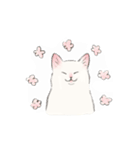 キジトビ(日本猫)（個別スタンプ：9）