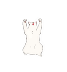 キジトビ(日本猫)（個別スタンプ：11）