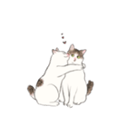 キジトビ(日本猫)（個別スタンプ：15）