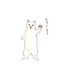 キジトビ(日本猫)（個別スタンプ：30）