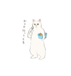 キジトビ(日本猫)（個別スタンプ：37）