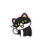 UNO CAT "Real Sticker ver."（個別スタンプ：16）