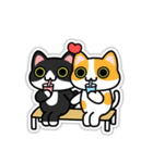 UNO CAT "Real Sticker ver."（個別スタンプ：29）