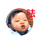 Little Enzo 4（個別スタンプ：1）