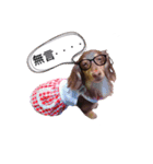 dachshund Coffee life（個別スタンプ：4）