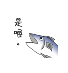 salted fish 3（個別スタンプ：17）