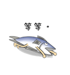 salted fish 3（個別スタンプ：29）