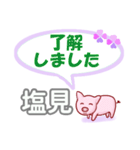 塩見「しおみ」さん専用。日常会話（個別スタンプ：4）