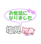 塩見「しおみ」さん専用。日常会話（個別スタンプ：39）