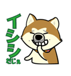 Dog's smile保護犬スタンプ（個別スタンプ：3）