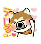 Dog's smile保護犬スタンプ（個別スタンプ：9）