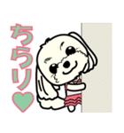 Dog's smile保護犬スタンプ（個別スタンプ：14）