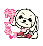 Dog's smile保護犬スタンプ（個別スタンプ：16）