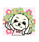 Dog's smile保護犬スタンプ（個別スタンプ：19）