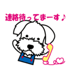 Dog's smile保護犬スタンプ（個別スタンプ：27）