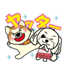 Dog's smile保護犬スタンプ（個別スタンプ：31）