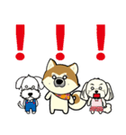 Dog's smile保護犬スタンプ（個別スタンプ：38）