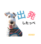 保護犬こっぺぱん-vol.3（個別スタンプ：19）