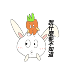 Rabbit bon and his carrot partner（個別スタンプ：2）