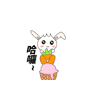 Rabbit bon and his carrot partner（個別スタンプ：3）