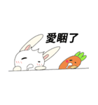 Rabbit bon and his carrot partner（個別スタンプ：11）