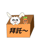 Rabbit bon and his carrot partner（個別スタンプ：13）