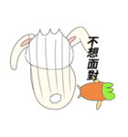 Rabbit bon and his carrot partner（個別スタンプ：18）